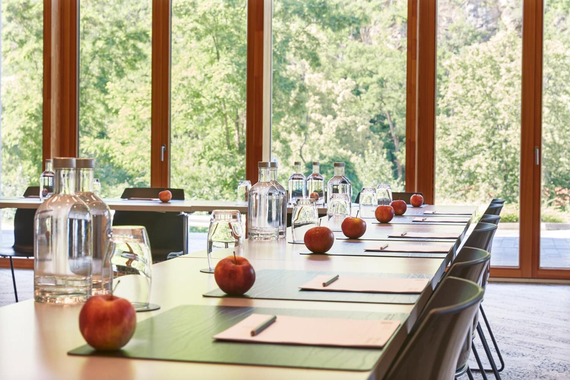 Steigenberger Hotel & Spa Krems Extérieur photo
