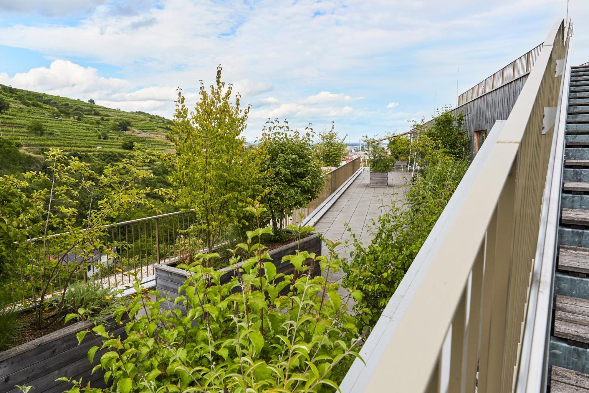 Steigenberger Hotel & Spa Krems Extérieur photo